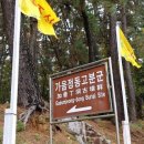 창원 가음정동 고분군 이미지