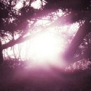 (주)가야바이오 이미지