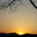 초원포도원 이미지