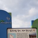 흥진농장 네이버블로그