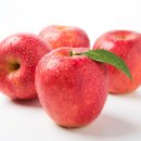 먹자푸드 이미지