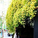 중남부 수도사업소  이미지