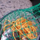 대림민박