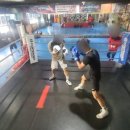 엘리트체육관 이미지