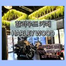 비엠마스터 | 라이더들의 성지 천안 할리우드 카페 방문 후기, 다양한 바이크들 구경함