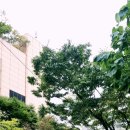 시민체육광장 이미지