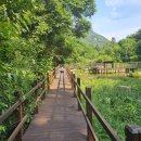 수달 화장실 이미지