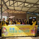 오늘반찬부식 이미지