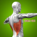 메꿀다이어트GYM