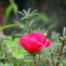 서현농장 이미지