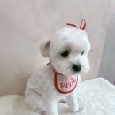 몽심살롱 이미지