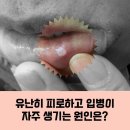 강동내과의원 이미지