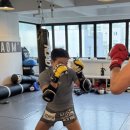 ART OF MMA 도산점 이미지