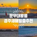 문무 | 경주 문무대왕릉 일출 후기 새해 아침에 가기 좋은 이유
