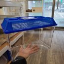 햄스터 라운지 이미지