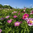 삼현리 경로당 이미지