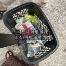 환영마트 | 시드니 물가 체감 후기 | 서울과 비교한 외식·마트·교통비 총정리