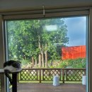 선흘초등학교 이미지