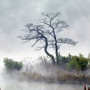 성도경로당 이미지