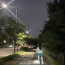 스페셜라이즈드 파워 콤프 미믹 내돈내산 후기