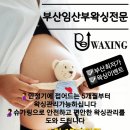 Re 왁싱