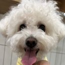 털로덮인친구들 서울상도점 이미지