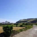봉자게스트하우스