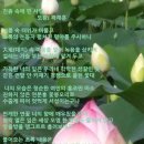 사랑가득핀 이미지