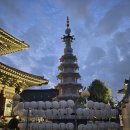 목어-기원 | 청주 용화사 새벽, 불교사물인 범종 법고 목어 운판 소리를 찾아서(2025. 8. 31.)