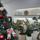 강동치과의원 이미지