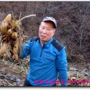 야콘부부농장 이미지