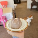 내돈내산 부산 여행 광안리 고양이 카페 후미후미 소품샵 일본 분위기 카페 추천