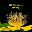 대형 스크린으로 만나는 SAC ON SCREEN 디지털 명화 오디세이 시크릿뮤지엄 이미지