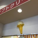 용무라별태권도장 | 나고야 근교 시라카와고 버스 투어 혼자 다녀온 후기 : 설경 뷰, 준비물 추천