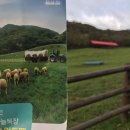 가을목장 이미지