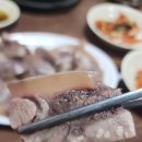 양이식당 이미지