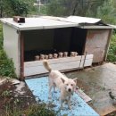 NR-30[증산로]-하-17 | 2024년 8월 셋째주~넷째주 일상모음