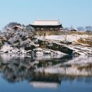 경남방역공사 - 거창군 | 경남방역공사