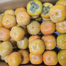 광산구-038 이미지