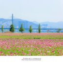 아주체육공원 이미지