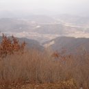 앙성탄산 Daum카페