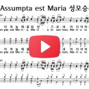 Assumpta Est Maria(Marcello) 이미지