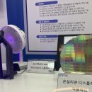 매서운 中 추격…&#39;OLED 마이크로디스플레이&#39;에 K-디스플레이 생존해법 이미지