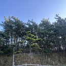 고대도3 | (11/2,토, 06:24~06:42) 삽시도 그리고 고대도