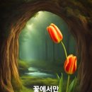 🍷각종 담금주의 종류와효능 🍷 이미지