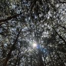 카페누비 이미지