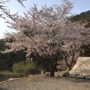 문수골 힐링캠핑장