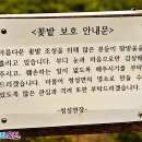 청성면행정복지센터 이미지