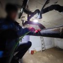 하이리빙아파트 이미지