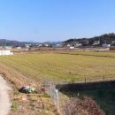 양덕동295 이미지